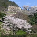 鳥取城跡のみどころ