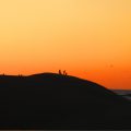 夜の砂丘観察会「ミステリーナイトウォーク」5月よりスタート