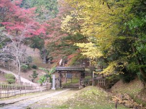 DSCN1513