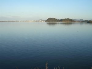 DSCN7927